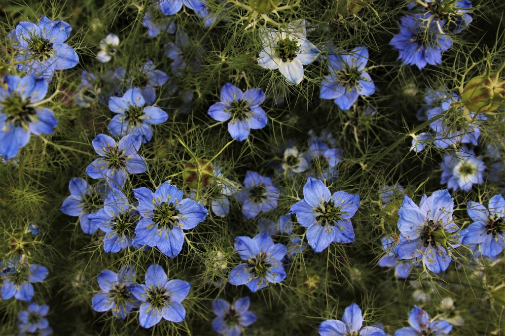 Berita Online Tekini Memberitakan Informasi Tekini Dengan Tepat